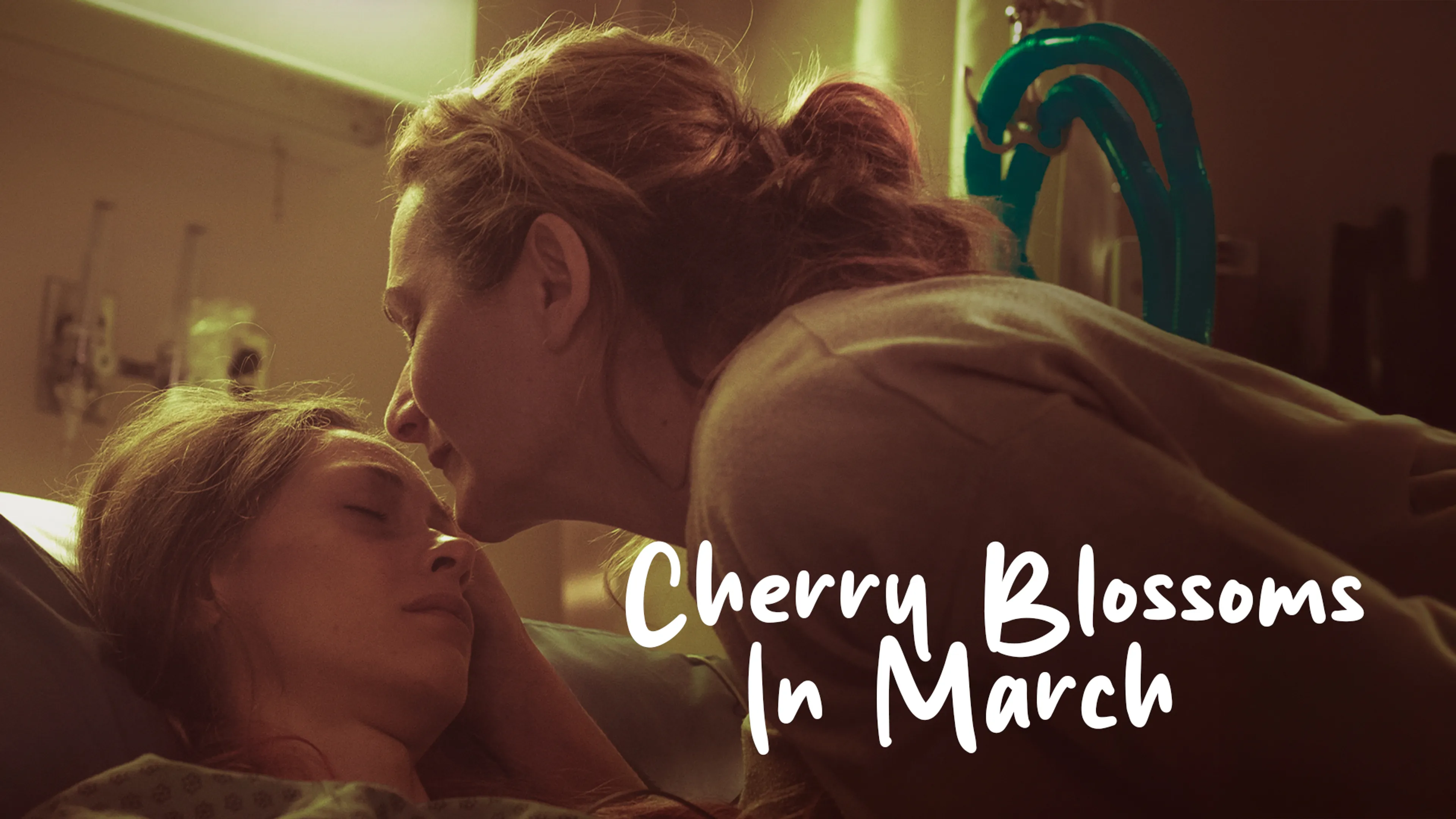 Cherry Blossoms In March poster